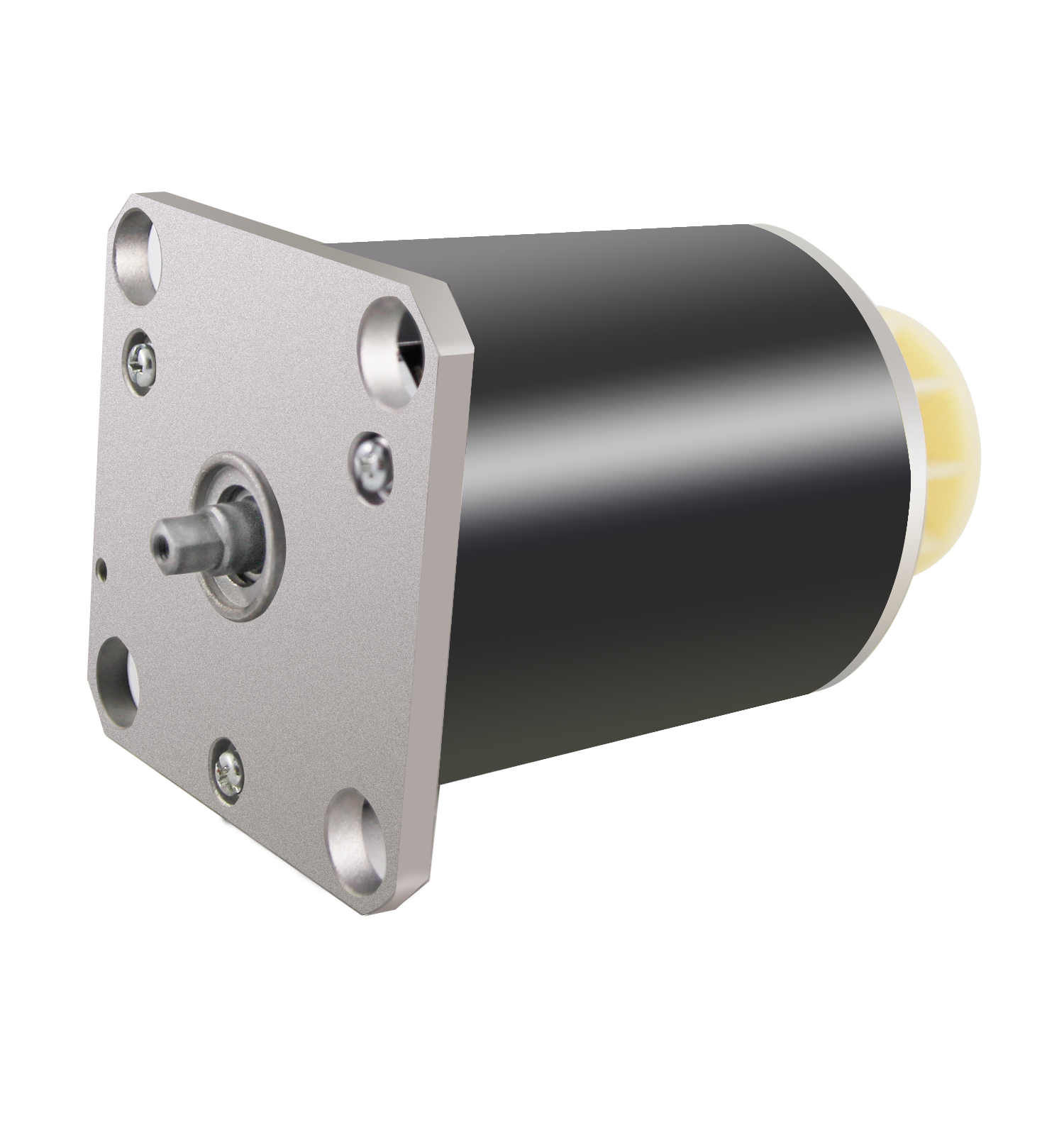 Brushless DC Motor BLDC80